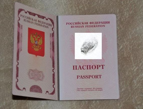 прописка в Губахе